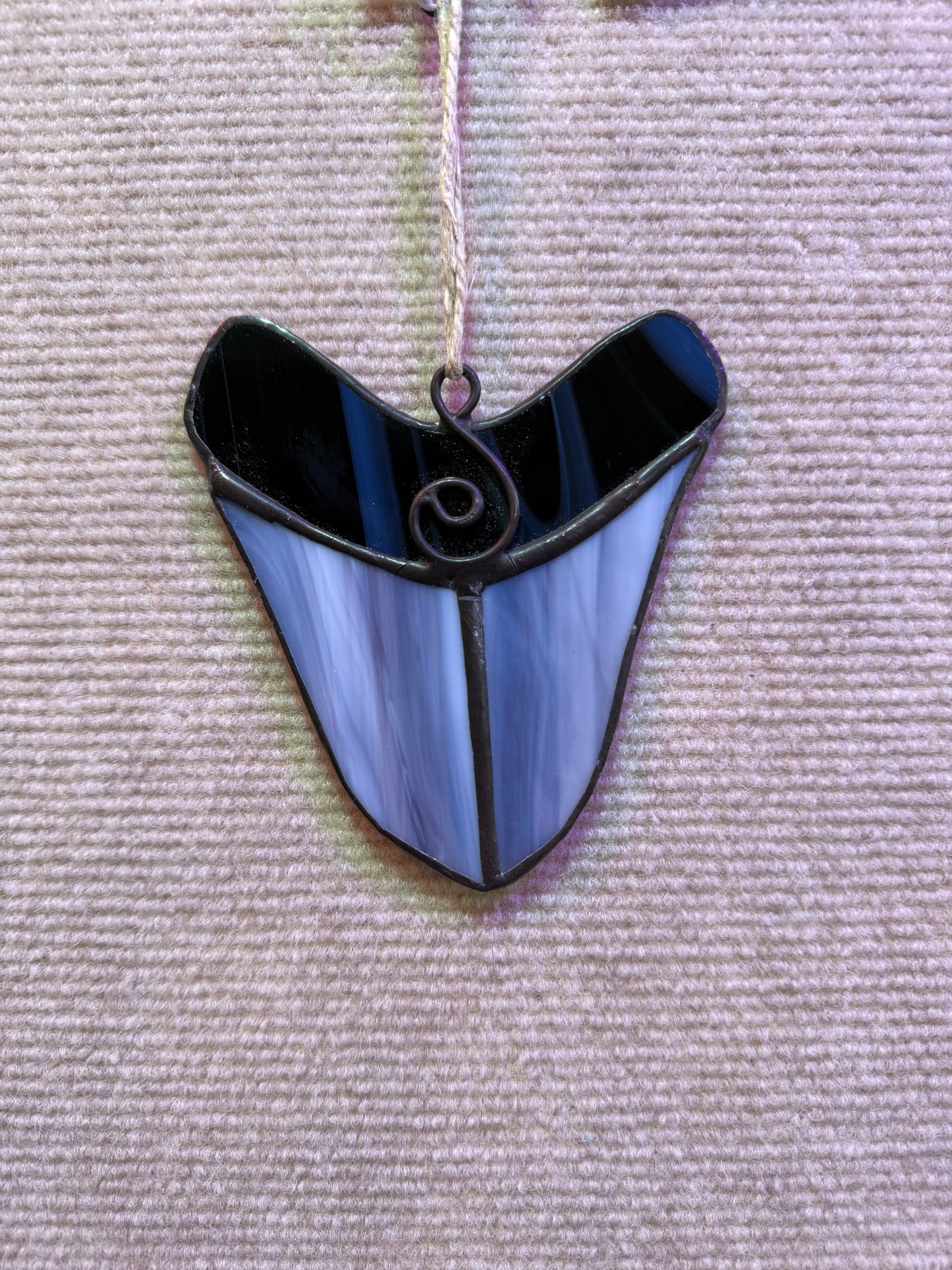 Large Shark Teeth
