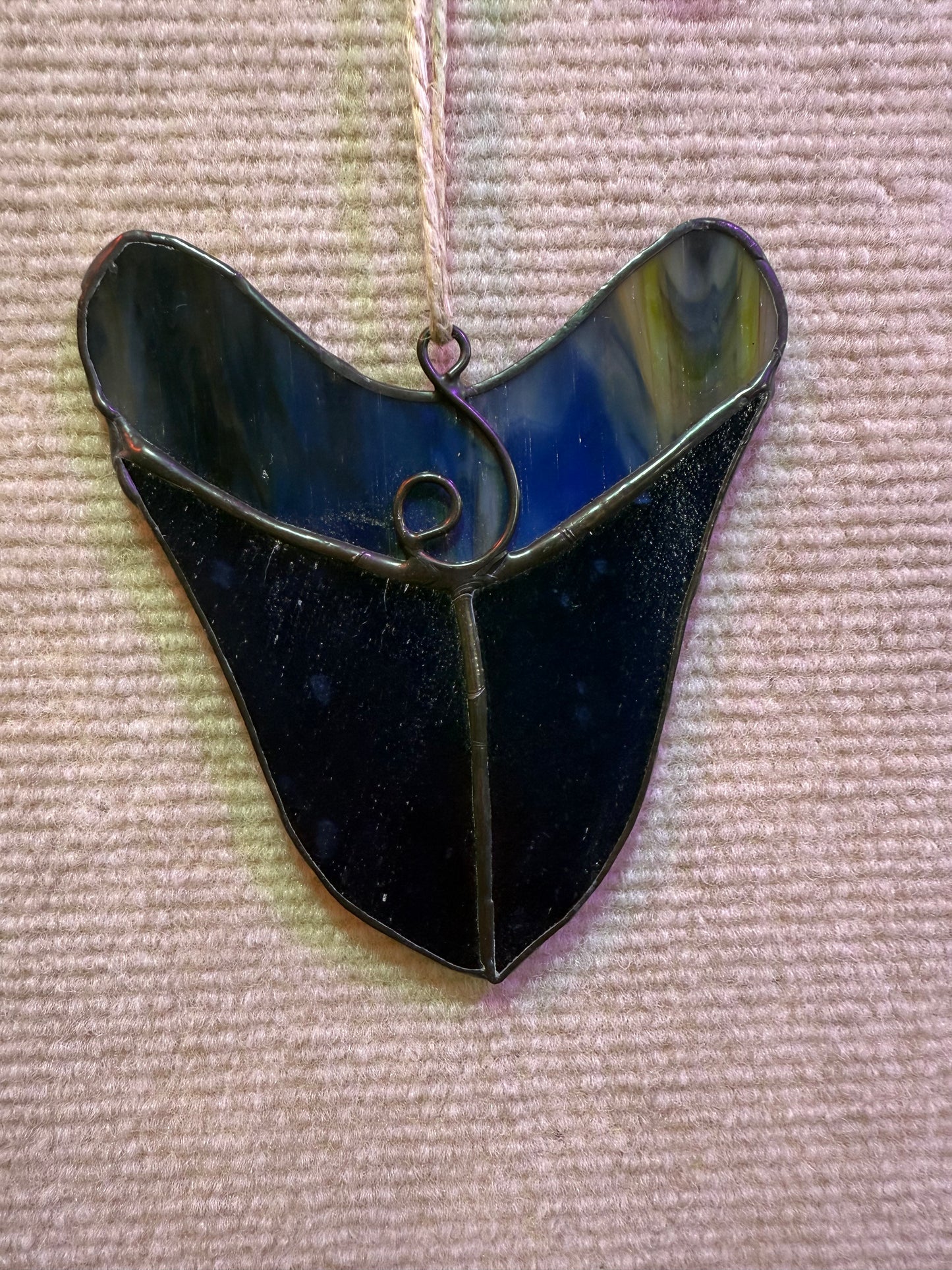 Large Shark Teeth