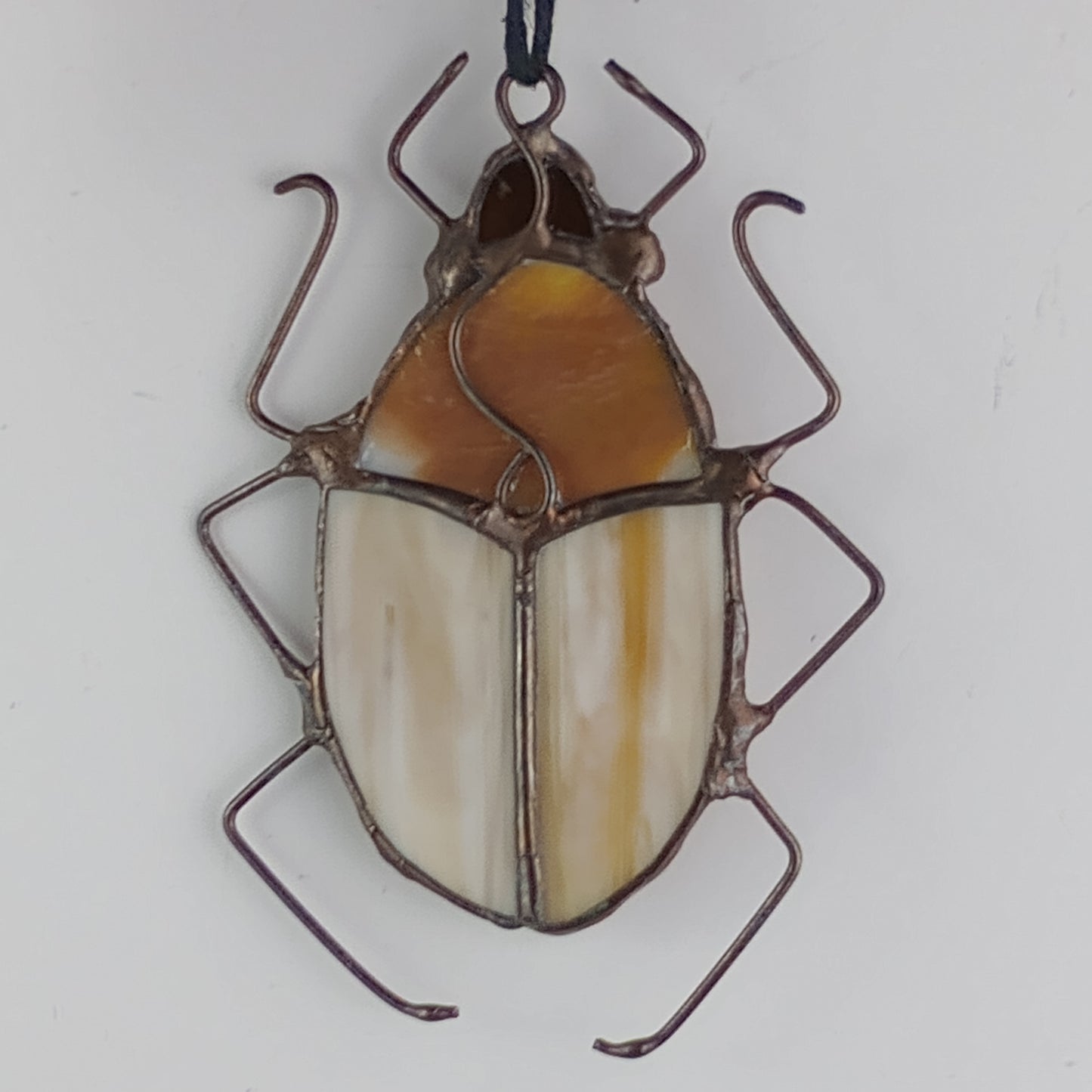 Pill Bug