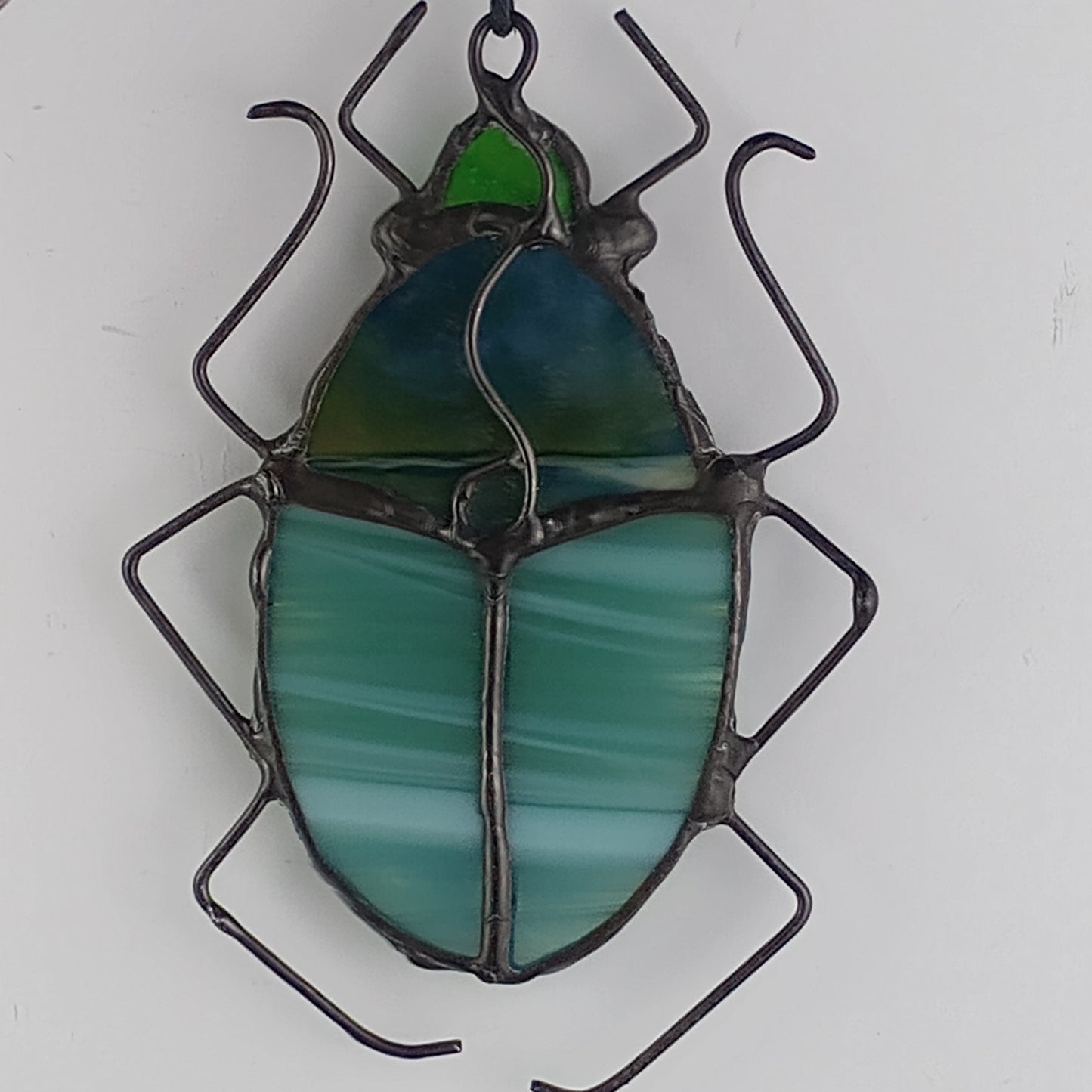 Pill Bug