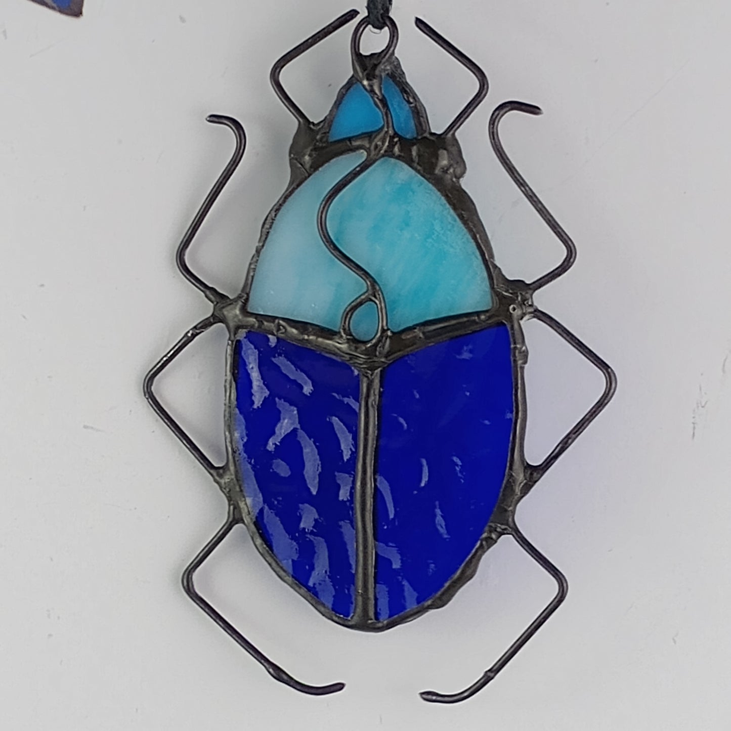 Pill Bug