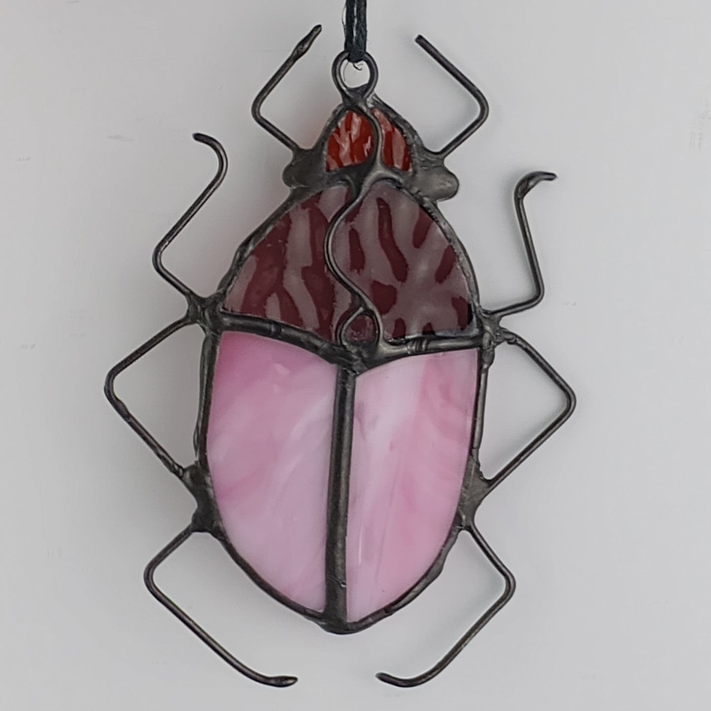 Pill Bug