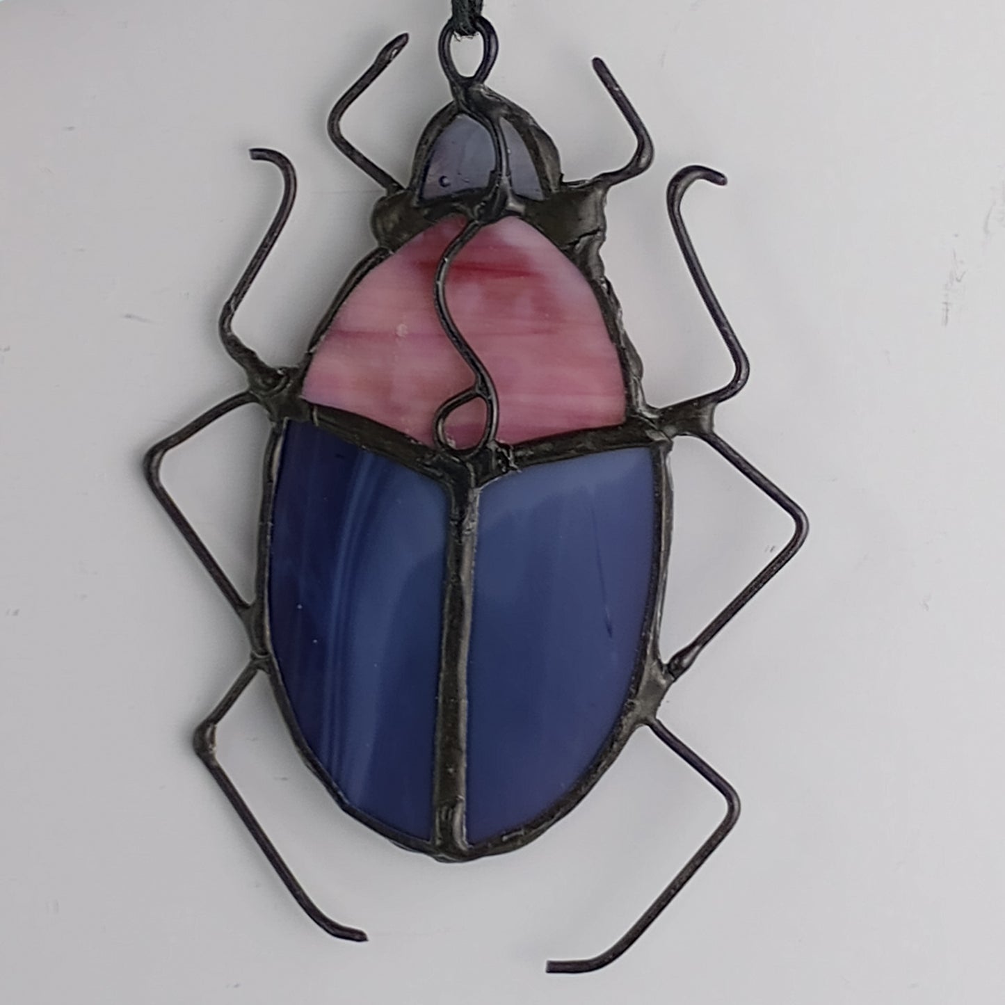 Pill Bug