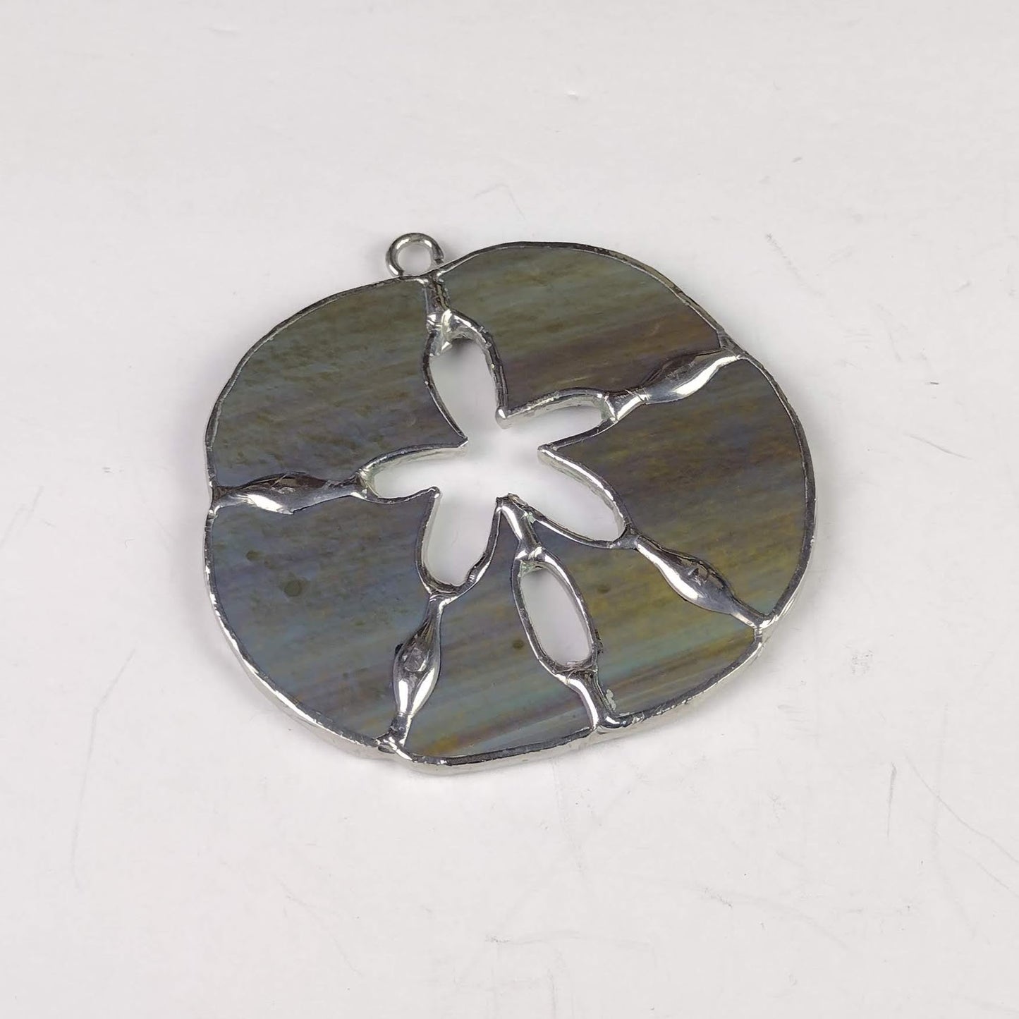 Sand Dollar mini
