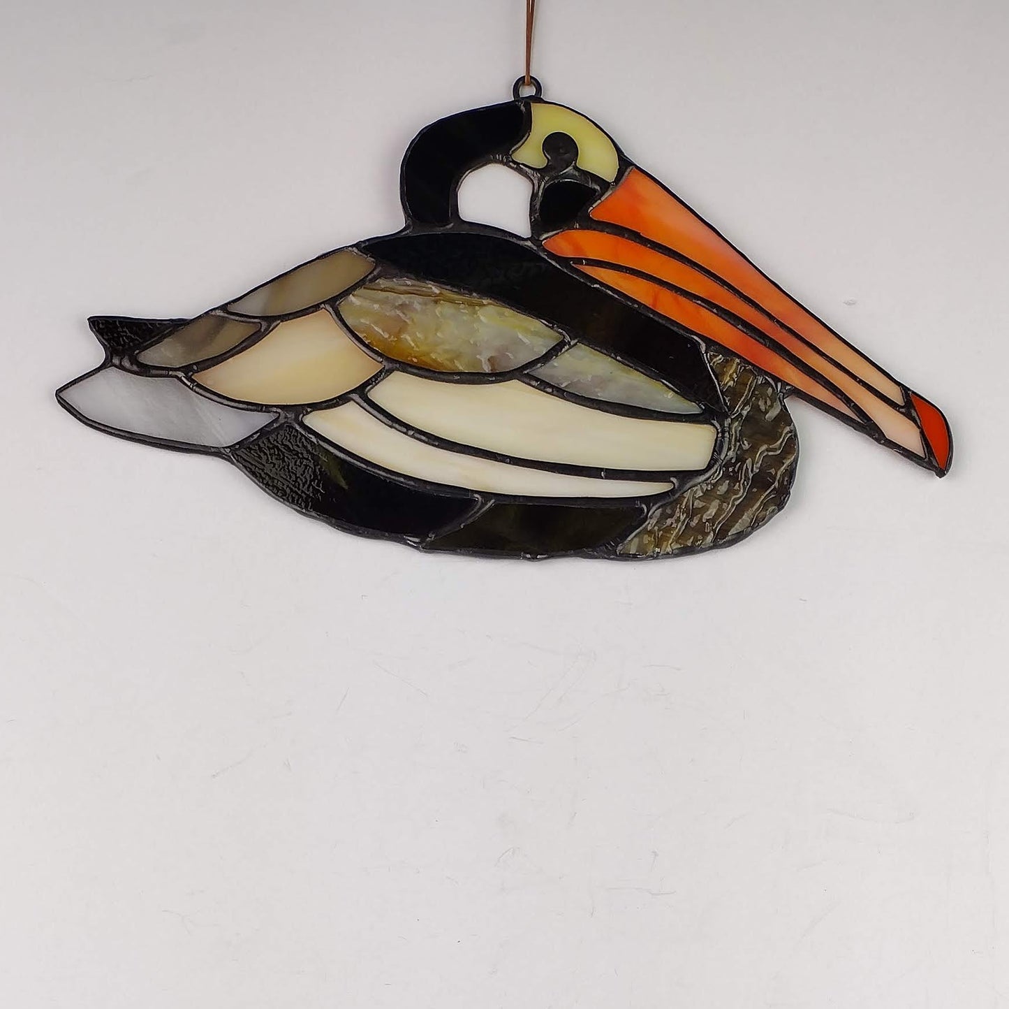 Pelican Resting